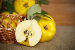 خواص و موارد احتیاط میوه به با دیدگاه طب سنتی ایرانی